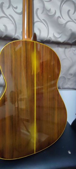 กีต้าร์คอนเสิร์ต shinano sc20 รูปที่ 4