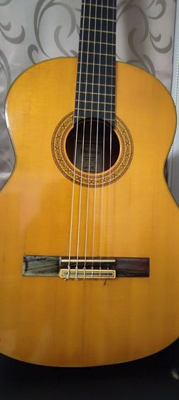 กีต้าร์คอนเสิร์ต shinano sc20 รูปที่ 3