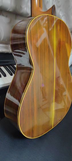 กีต้าร์คอนเสิร์ต shinano sc20 รูปที่ 6