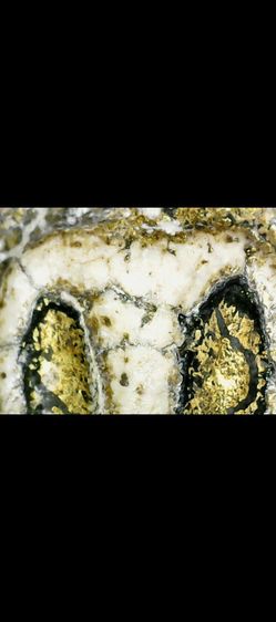 สมเด็จวัดระฆัง รูปที่ 14