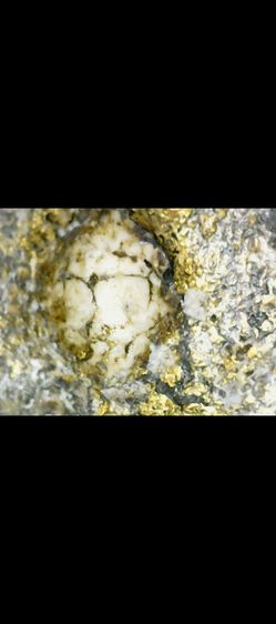 สมเด็จวัดระฆัง รูปที่ 13