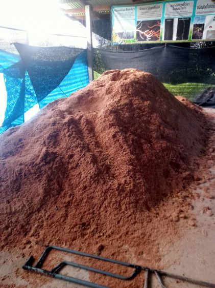 ขี้เลื่อยไม้ยางพาราแท้