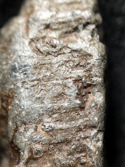 นางพญาพิษณุโลกเนื้อเขียวครับ รูปที่ 14