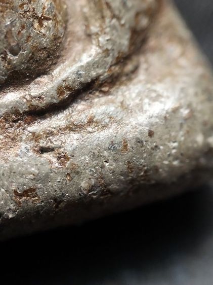 นางพญาพิษณุโลกเนื้อเขียวครับ รูปที่ 18