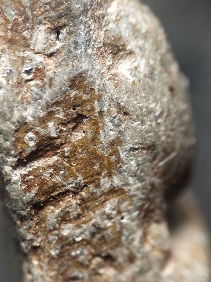 นางพญาพิษณุโลกเนื้อเขียวครับ รูปที่ 11