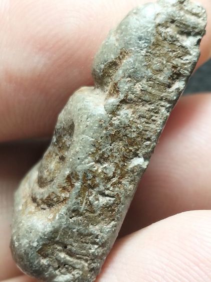 นางพญาพิษณุโลกเนื้อเขียวครับ รูปที่ 5