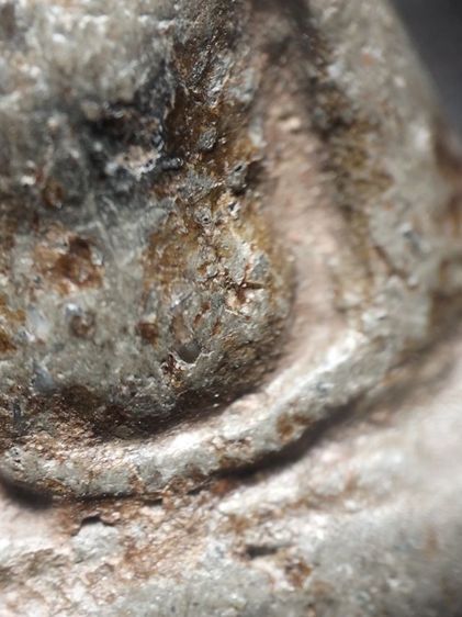 นางพญาพิษณุโลกเนื้อเขียวครับ รูปที่ 9