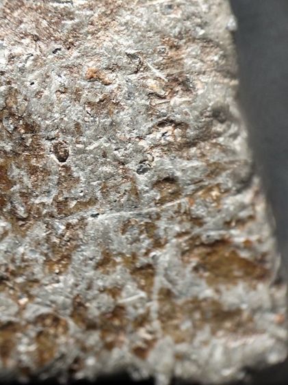 นางพญาพิษณุโลกเนื้อเขียวครับ รูปที่ 12