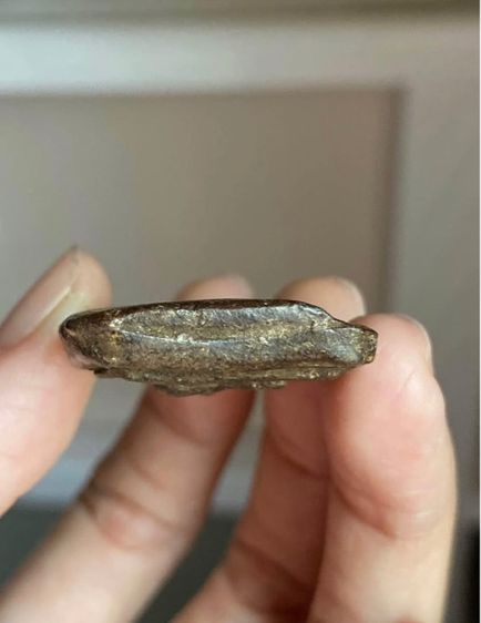 พระเนื้อผงยาจินดามณีหลวงปู่บุญ รูปที่ 5