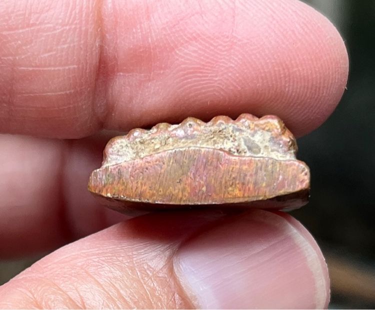 หลวงพ่อทวดพิมพ์เตารีด รูปที่ 4