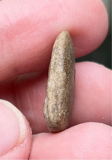 หลวงปู่บุญ รูปที่ 5