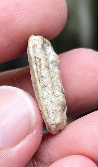 หลวงปู่เผือก รูปที่ 5