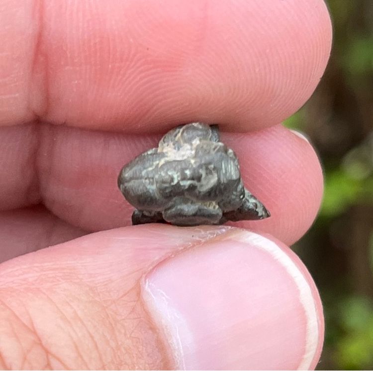 พระพิฆเนศสำริด รูปที่ 4