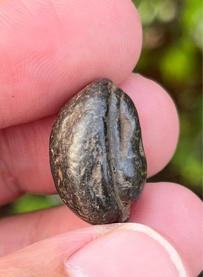 พระปิดตา รูปที่ 5