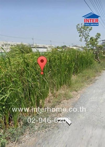 ที่ดินเปล่า 100 ตร.ว. ที่ดินเปล่า ซอยศาลายา3-9 ใกล้โรงเรียนกาญจนาภิเษกวิทยาลัย นครปฐม ถนนบรมราชชนนี ถนนพุทธมณฑลสาย4 พุทธมณฑล นครปฐม