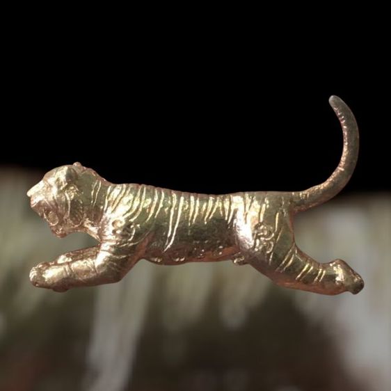 เสือหลวงพ่อสุด รูปที่ 2