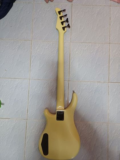 Bas FERNANDES.  รูปที่ 10