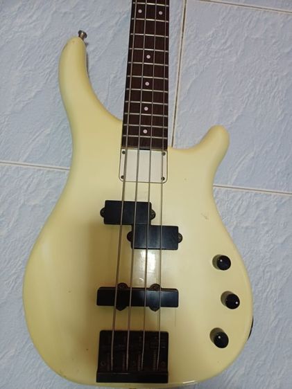 Bas FERNANDES.  รูปที่ 9