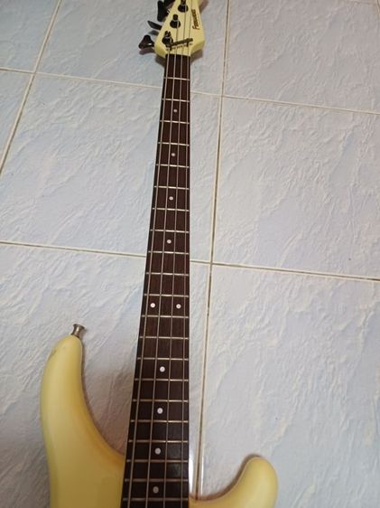 Bas FERNANDES.  รูปที่ 2