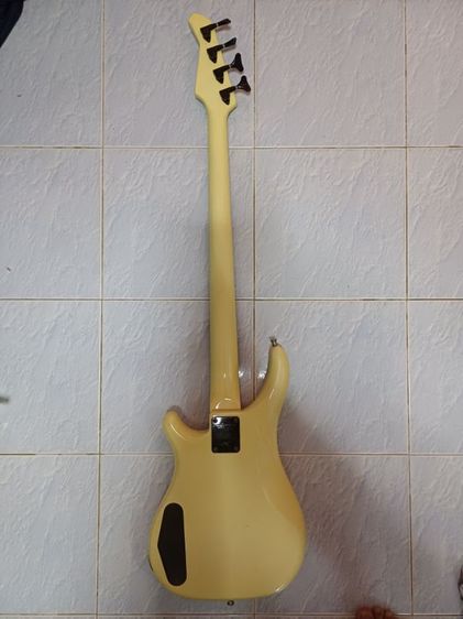 Bas FERNANDES.  รูปที่ 8