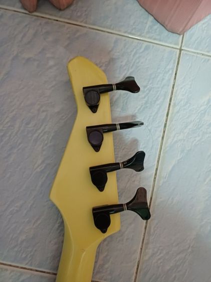 Bas FERNANDES.  รูปที่ 5