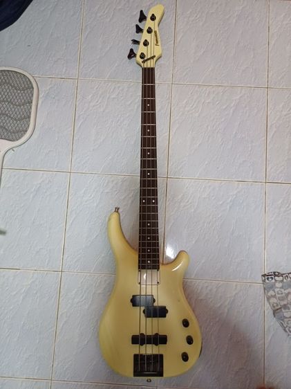 Bas FERNANDES.  รูปที่ 7