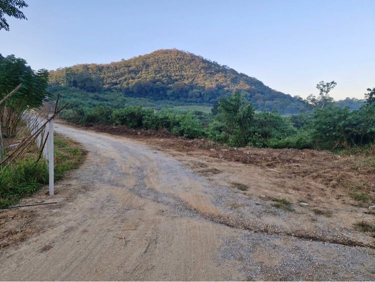 ไม่ใช่ ที่ดินเนินเขาวิวสวยมาก มวกเหล็ก สระบุรี รูปที่ 2