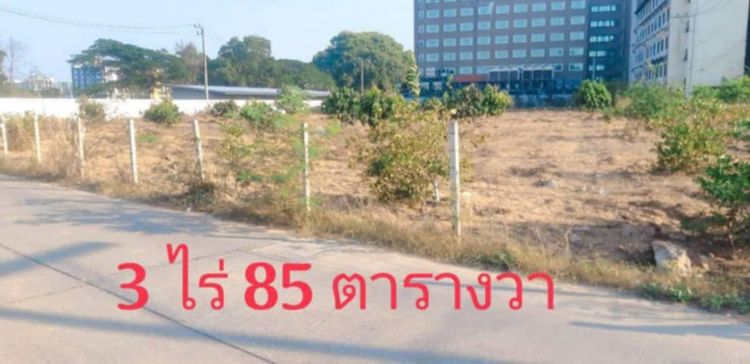 ใช่ ขายที่ดินวิวทะเลนาจอมเทียน รูปที่ 4