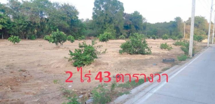 ใช่ ขายที่ดินวิวทะเลนาจอมเทียน รูปที่ 3