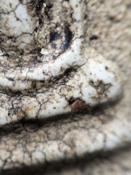 พระสมเด็จเนื้อสวยแตกลายงาครับ รูปที่ 6