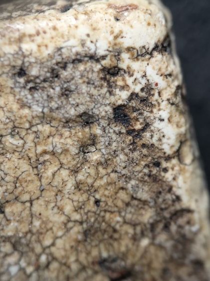 พระสมเด็จเนื้อสวยแตกลายงาครับ รูปที่ 10