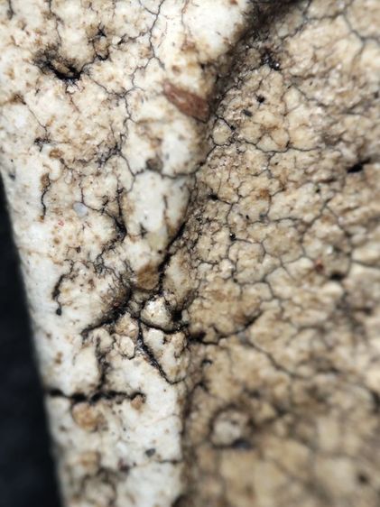 พระสมเด็จเนื้อสวยแตกลายงาครับ รูปที่ 9