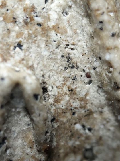 ❌ปิดครับ❌พระสมเด็จพิมพ์เจดีย์พึ่งแกะออกจากกรอบเก่าครับ รูปที่ 11