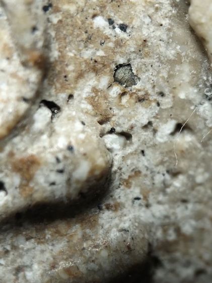 ❌ปิดครับ❌พระสมเด็จพิมพ์เจดีย์พึ่งแกะออกจากกรอบเก่าครับ รูปที่ 9