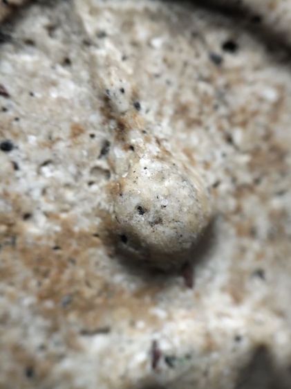 ❌ปิดครับ❌พระสมเด็จพิมพ์เจดีย์พึ่งแกะออกจากกรอบเก่าครับ รูปที่ 2