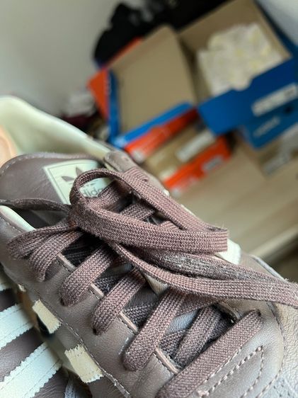 samba og รูปที่ 7