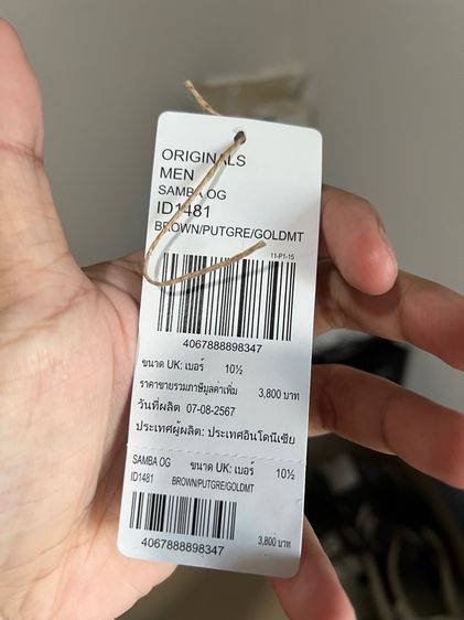 samba og รูปที่ 8