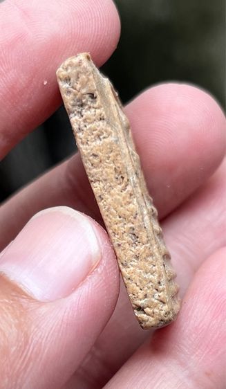 พระสมเด็จ รูปที่ 3