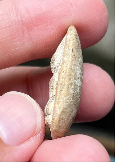 พระกรุวัดพลับ รูปที่ 3