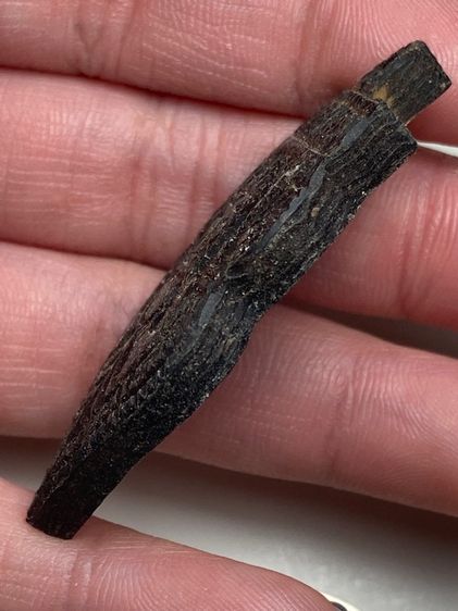 พระราหูเนื้อกะลา รูปที่ 4