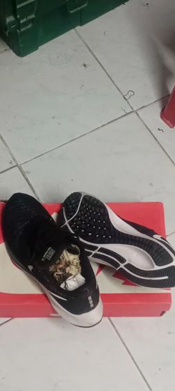  รองเท้าวิ่ง Nike Air Zoom Pegasus สภาพมือ1 เท้าใครใส่ได้รีบจัดครับผม รูปที่ 6