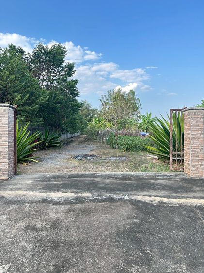 ขายที่ดินเชียงแสน ติดถนนใหญ่ ทำเลดีมาก เนื้อที่ 2-2-71 ไร่ (โฉนดครุฑแดง) ต.ป่าสัก อ.เชียงแสน รูปที่ 3