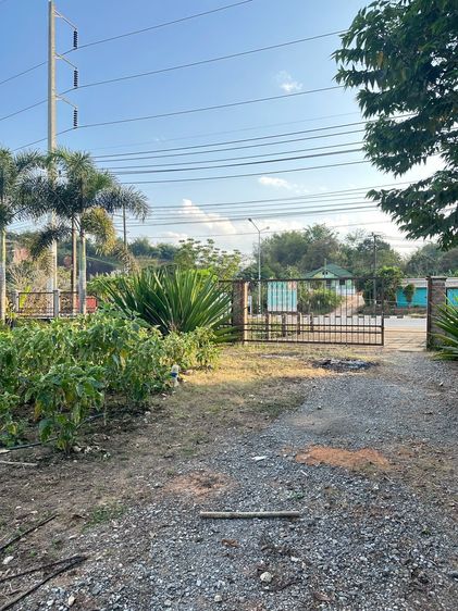 ขายที่ดินเชียงแสน ติดถนนใหญ่ ทำเลดีมาก เนื้อที่ 2-2-71 ไร่ (โฉนดครุฑแดง) ต.ป่าสัก อ.เชียงแสน รูปที่ 4