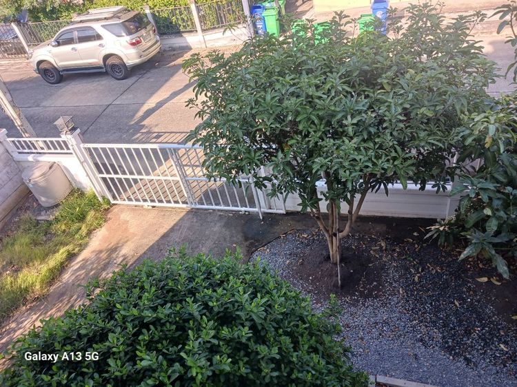 มีบางส่วน 2012 ให้เช่าบ้านเดี่ยว 2 ชั้น 3 นอน 3น้ำ 56 ตร.วา มุ้งลวด+เหล็กดัด หมู่บ้านคุณาภัทร 4 ถนนบ้านกล้วย-ไทรน้อย บางบัวทอง นนทบุรี  รูปที่ 4