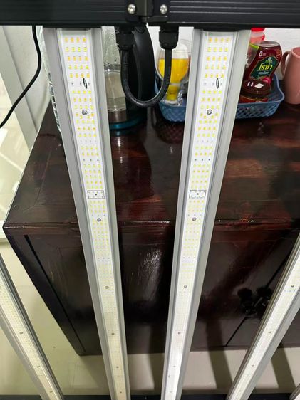 Grow LED Light 720 W รูปที่ 7