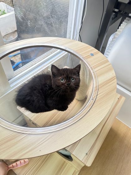 มันซ์กิ้น หญิง รูปที่ 4