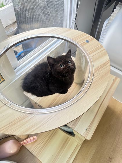 มันซ์กิ้น หญิง รูปที่ 5