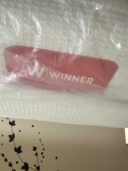 ที่นอน 6 ฟุต