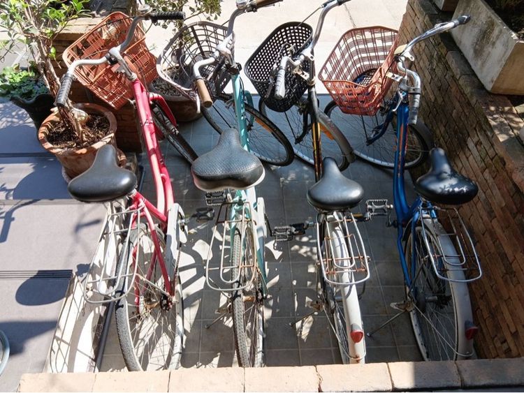  Used bicycles  รูปที่ 8
