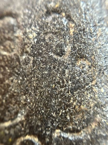 หลวงปู่ทวดเนื้อว่านหลังวจ2408 รูปที่ 12